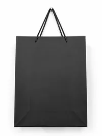 SMALL MATTE FINISH GIFT BAGS – Image 3