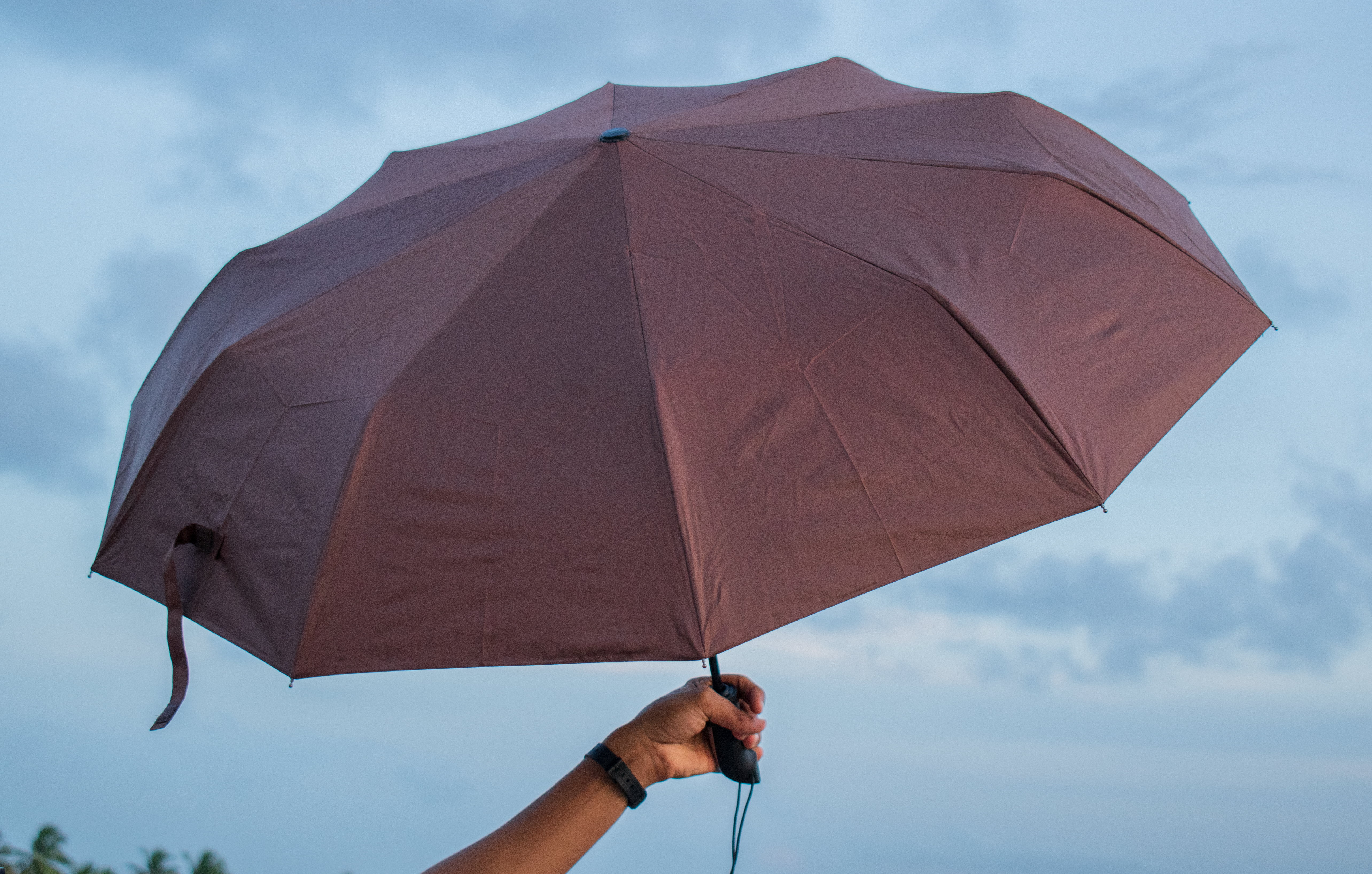 Small Ladies Handle Umbrellas – Image 5