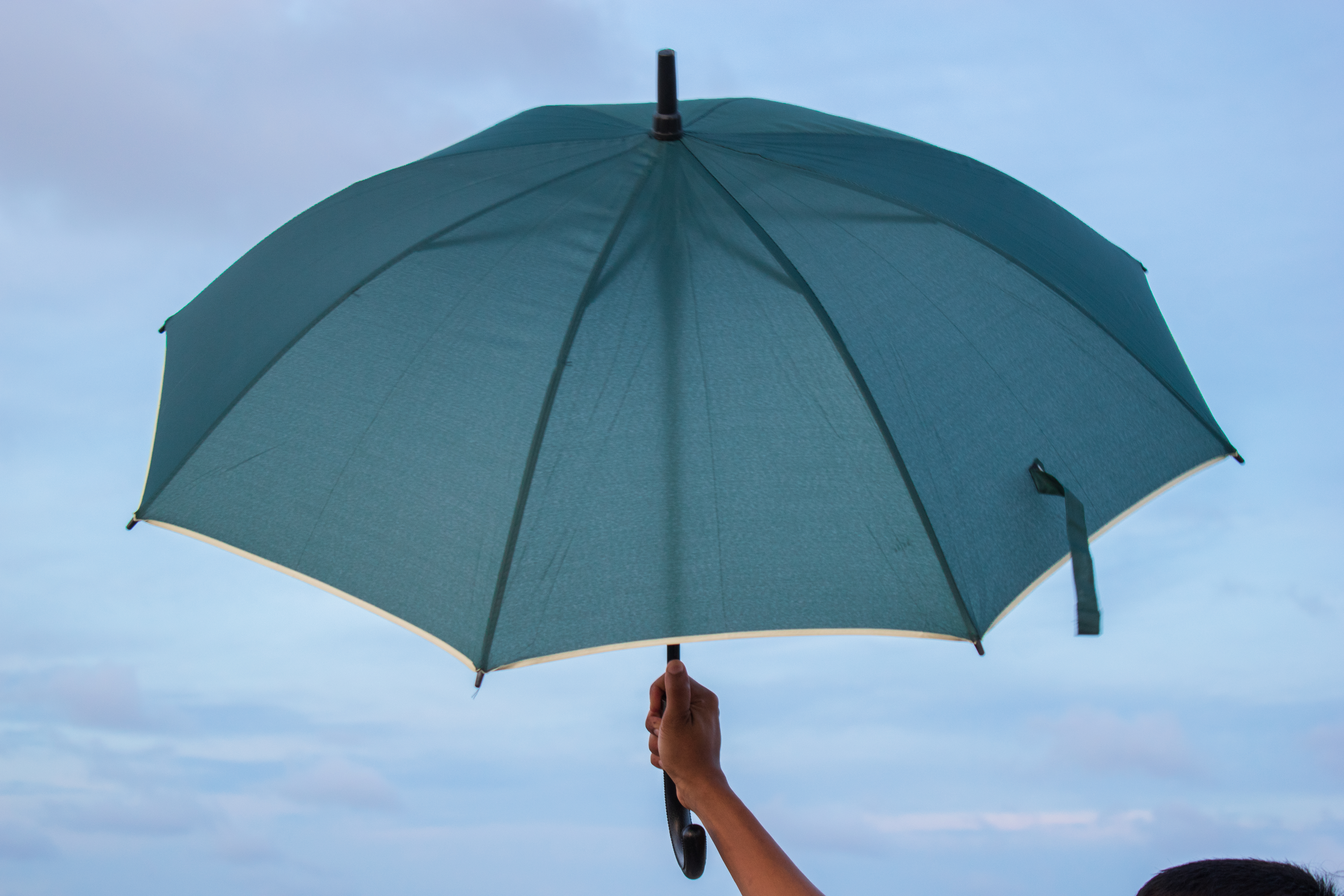 Curve Handle Umbrellas – Image 6