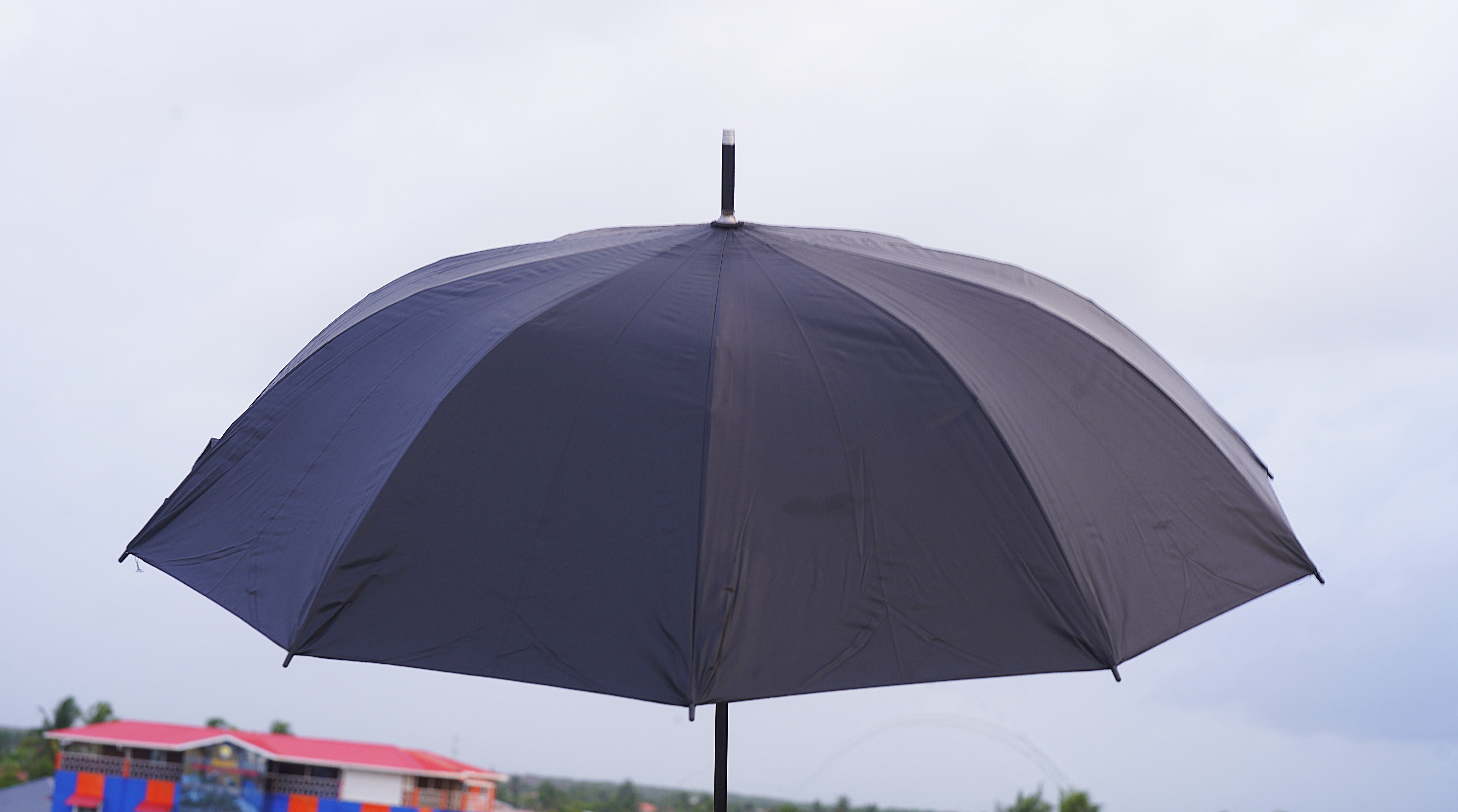 Silver Tip Curve Handle Umbrellas – Image 5