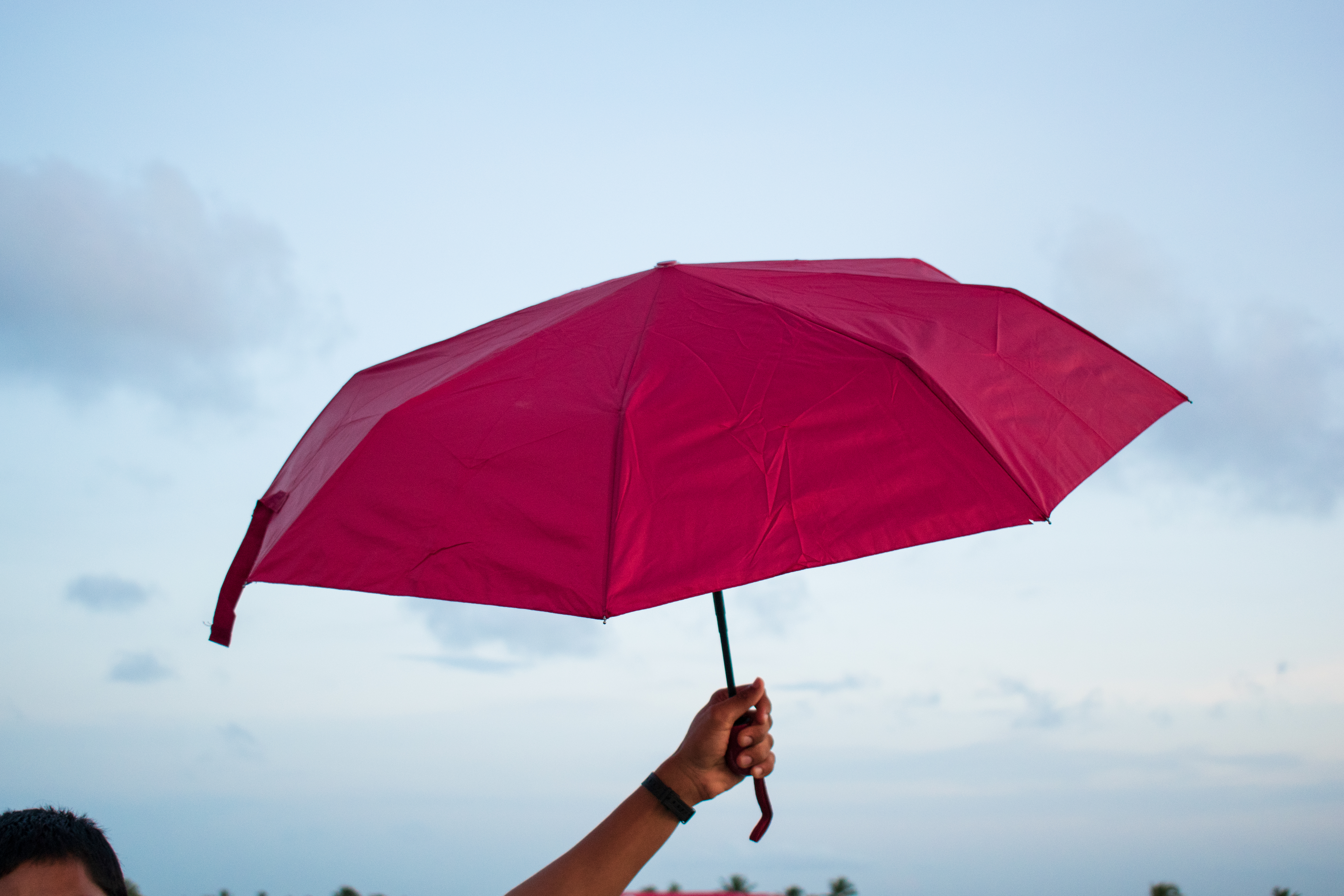 Small Ladies Handle Umbrellas – Image 6