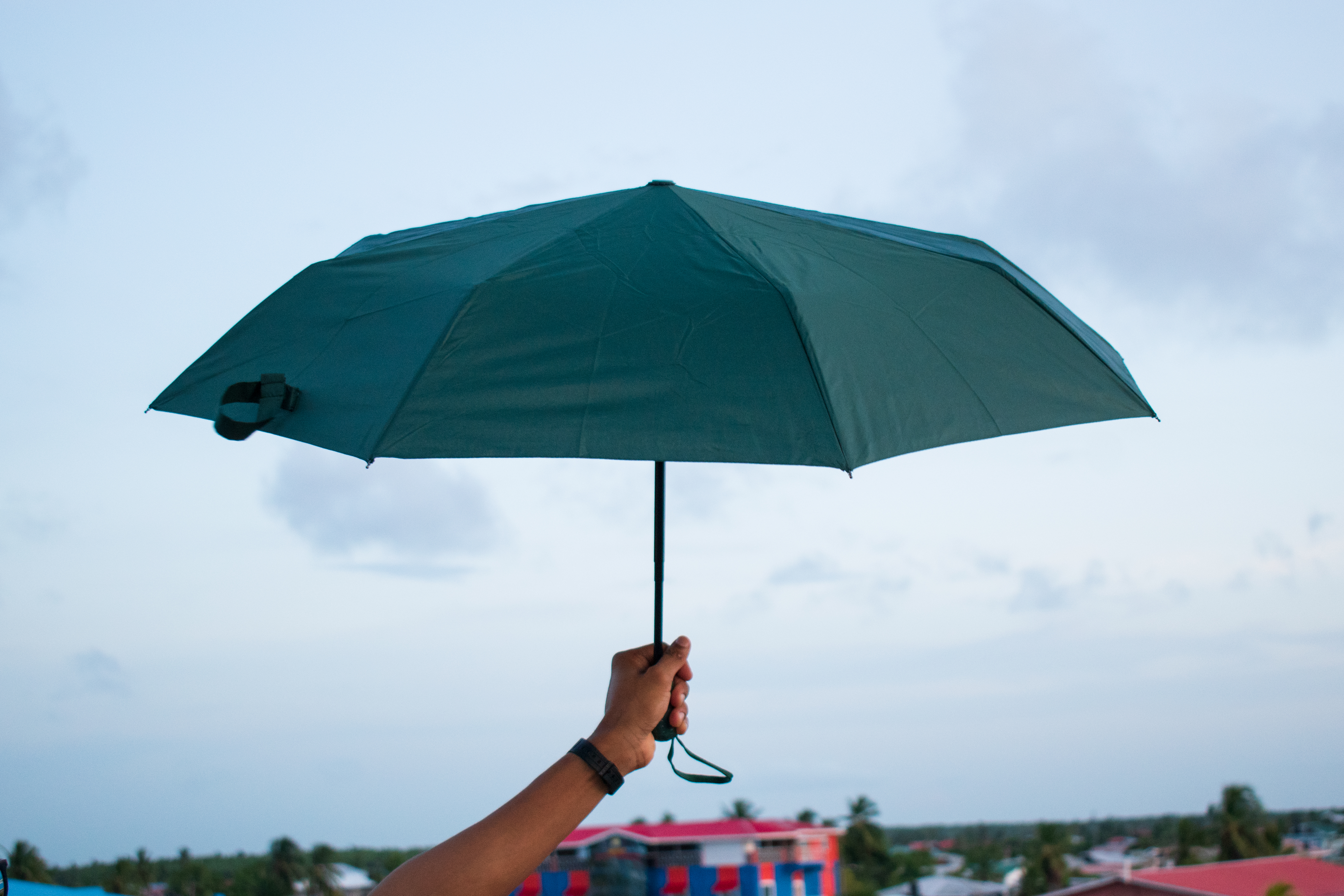 Small Ladies Handle Umbrellas – Image 7