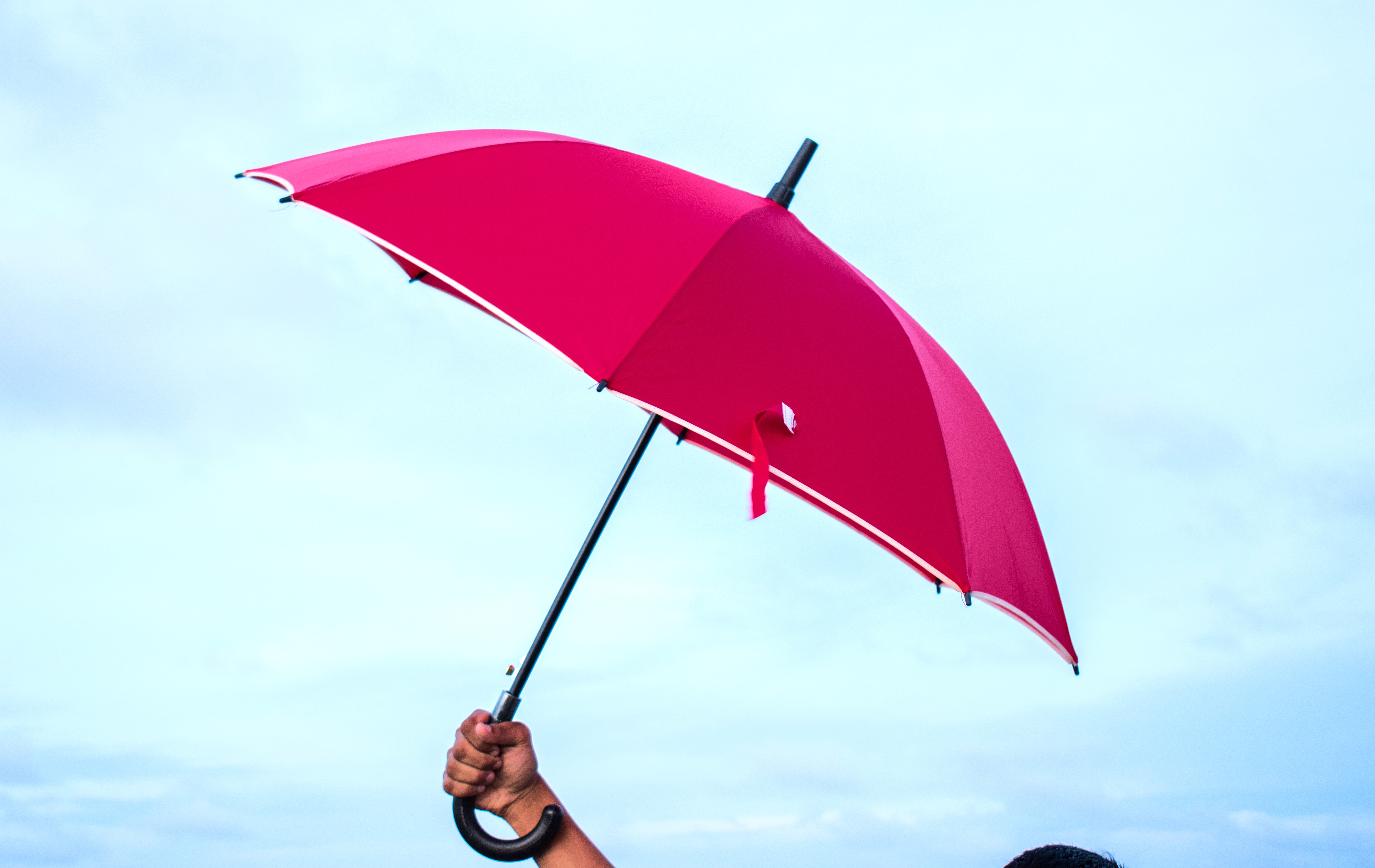 Curve Handle Umbrellas – Image 5