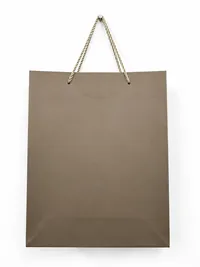 SMALL MATTE FINISH GIFT BAGS – Image 5