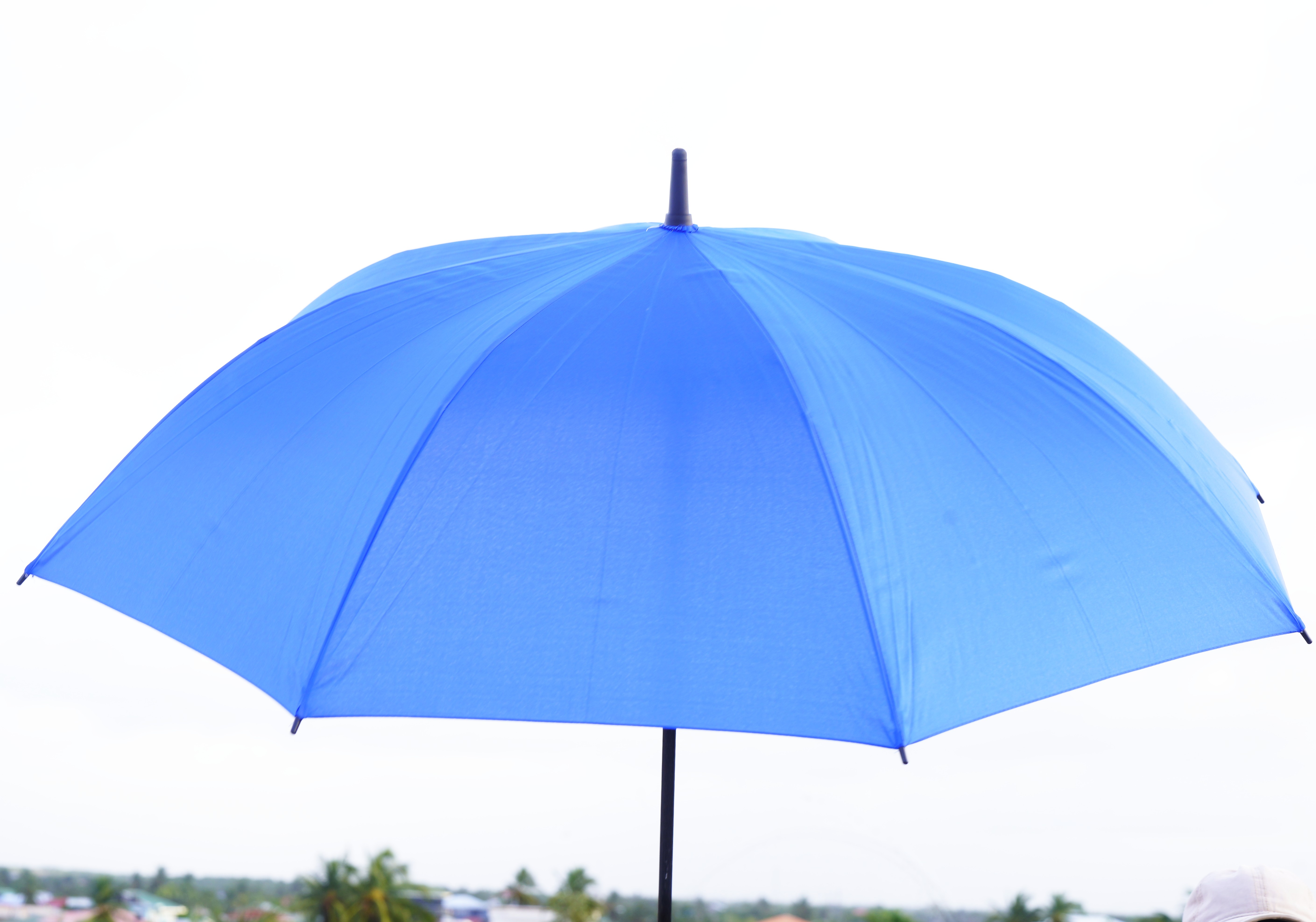 Large Wooden Handle Umbrellas – Image 5