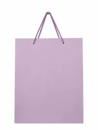 SMALL MATTE FINISH GIFT BAGS – Image 2