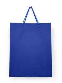SMALL MATTE FINISH GIFT BAGS – Image 4