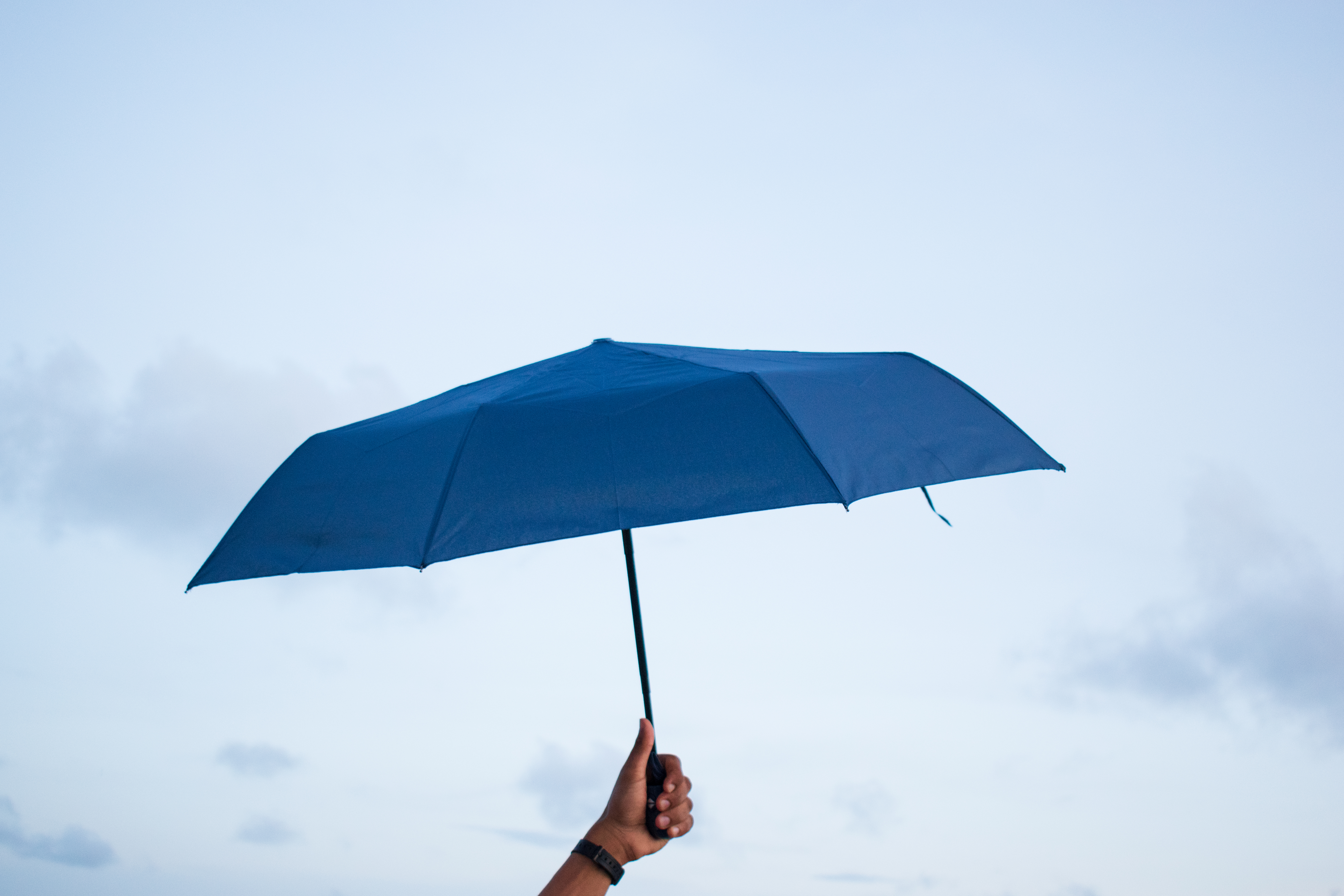 Small Ladies Handle Umbrellas – Image 4