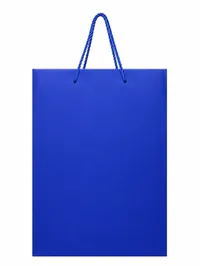 LARGE MATTE FINISHED GIFT BAGS – Image 3