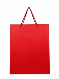 SMALL MATTE FINISH GIFT BAGS – Image 9