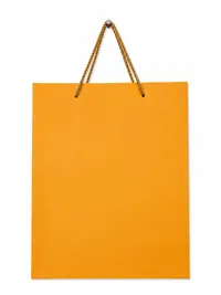 SMALL MATTE FINISH GIFT BAGS – Image 8