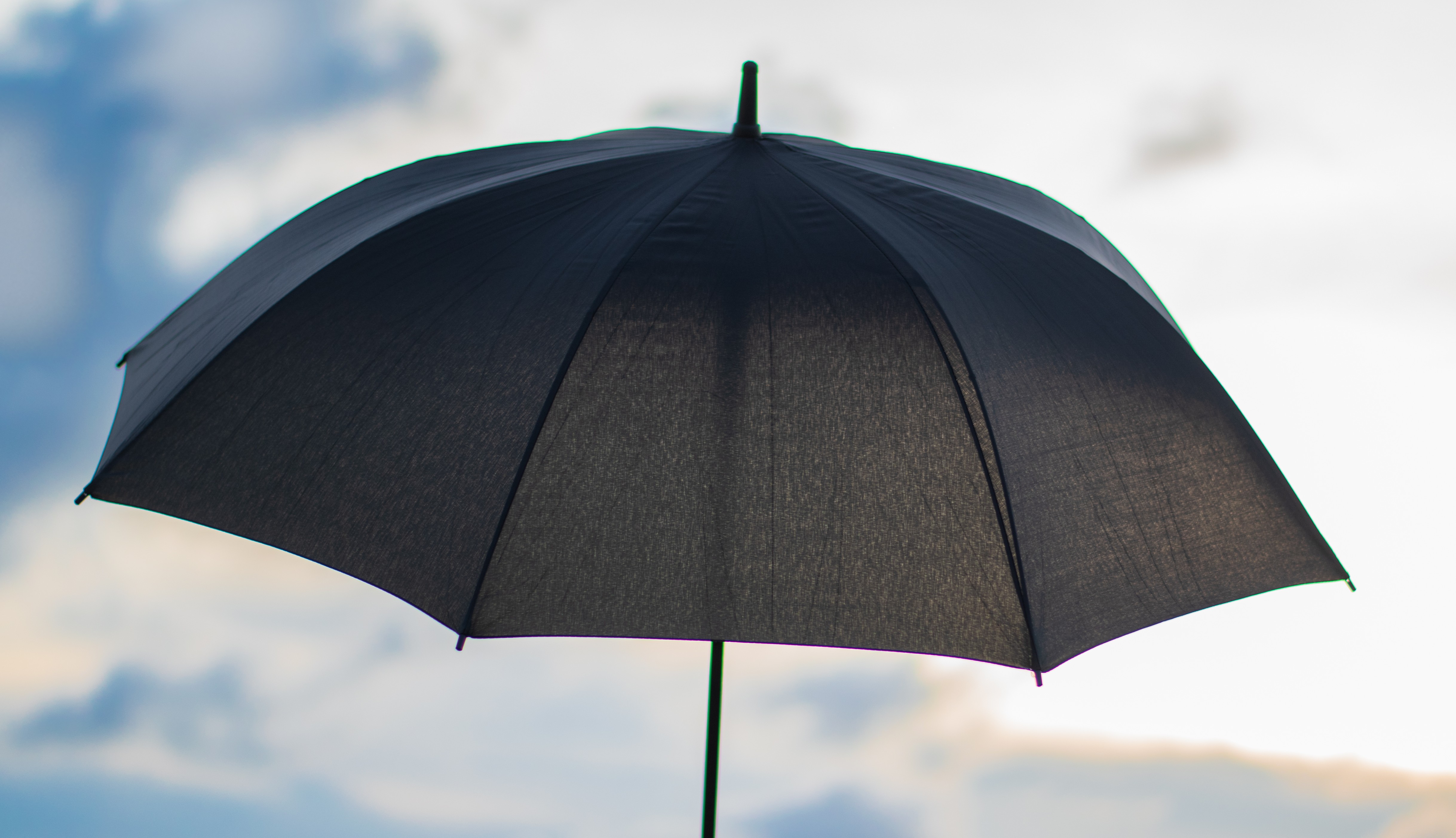 Curve Handle Umbrellas – Image 3