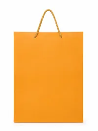 LARGE MATTE FINISHED GIFT BAGS – Image 7