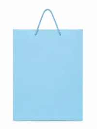 LARGE MATTE FINISHED GIFT BAGS – Image 5