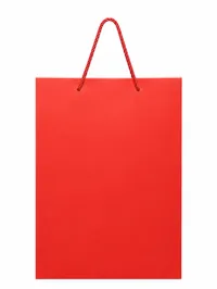 LARGE MATTE FINISHED GIFT BAGS – Image 9