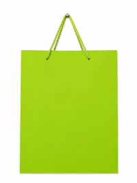 SMALL MATTE FINISH GIFT BAGS – Image 7