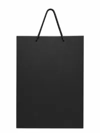 LARGE MATTE FINISHED GIFT BAGS – Image 2