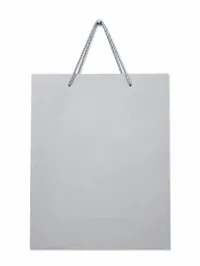 SMALL MATTE FINISH GIFT BAGS – Image 11