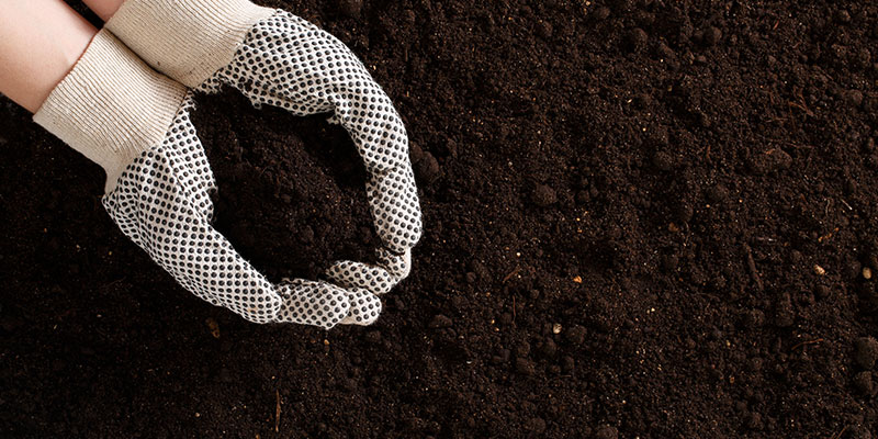 Soil – Image 2