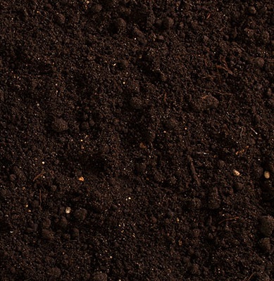 Soil – Image 3
