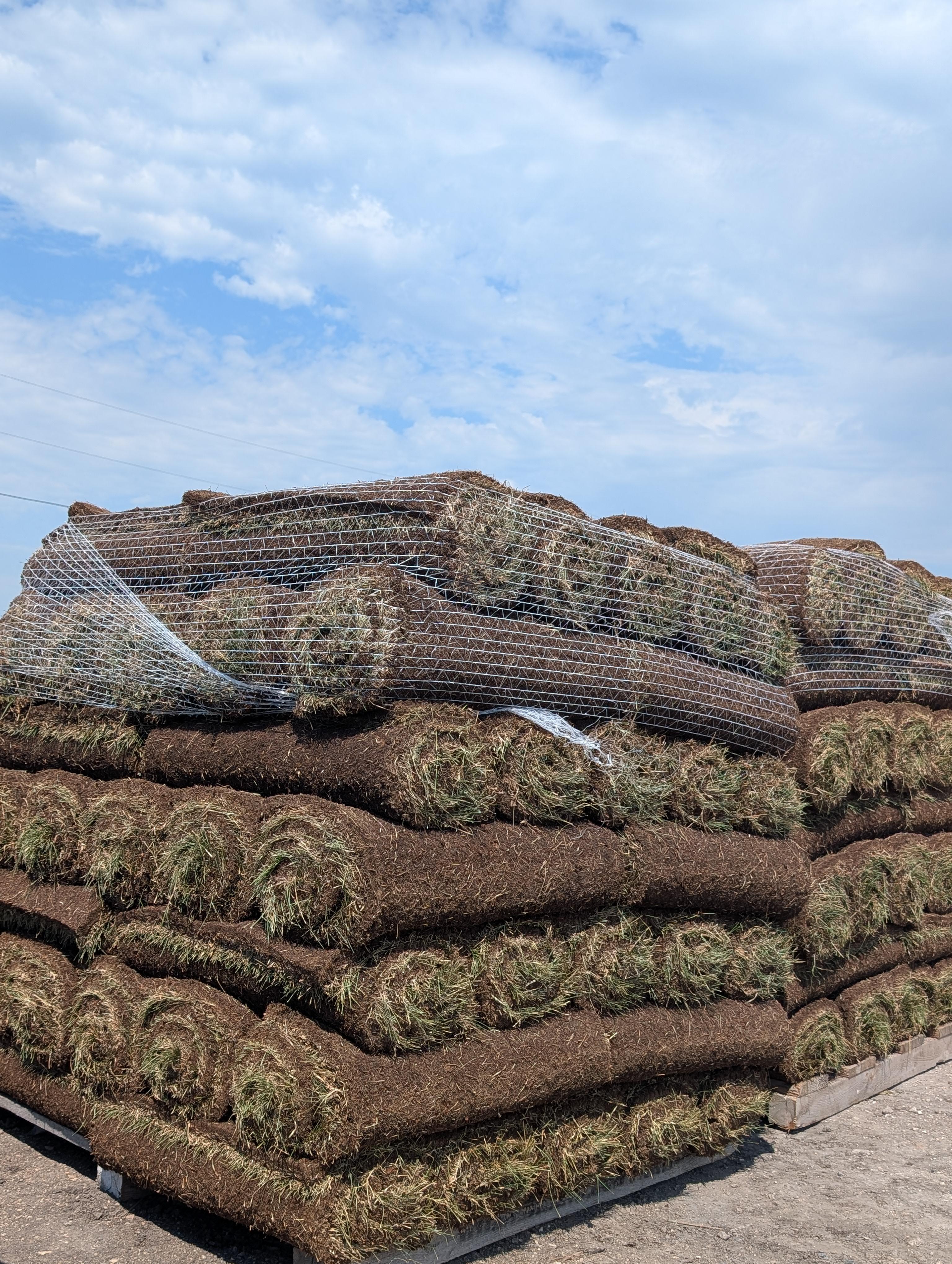 Peat Sod – Image 1