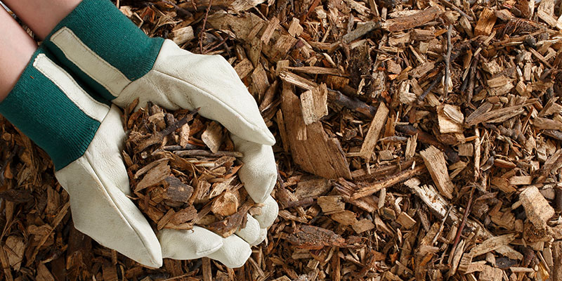 Mulch – Image 2