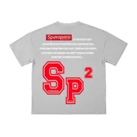 Street Ballon d'Ors Message T-Shirt Grey – Image 2