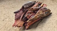 Mopane Fire Starters – Image 2