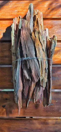 Mopane Fire Starters – Image 4