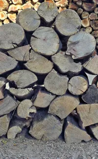 Macadamia Kuier-Kaggel hout – Image 1