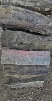 Macadamia Kuier-Kaggel hout – Image 3