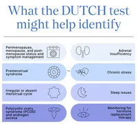 Dutch Plus – Image 2