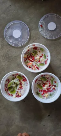 Coconut Chia Pudding – Image 2
