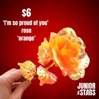 Junior Stars 'I'm so proud of you' Rose – Image 2