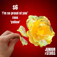 Junior Stars 'I'm so proud of you' Rose – Image 3