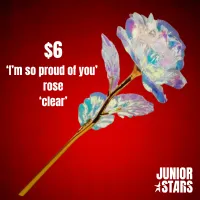 Junior Stars 'I'm so proud of you' Rose – Image 1