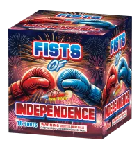 Fists Of Independence 16 shot – Image 1