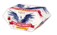 All for America – Image 1