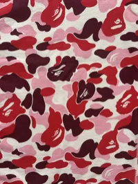 (SZ M) Bape Hiroshima City Camo Separate Shark Full Zip Hoodie – Image 9