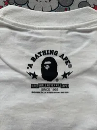 (SZ OG L) 08' Bape Isetan Plaid Baby Milo Tee – Image 6