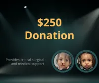 $250 Donation – Image 1
