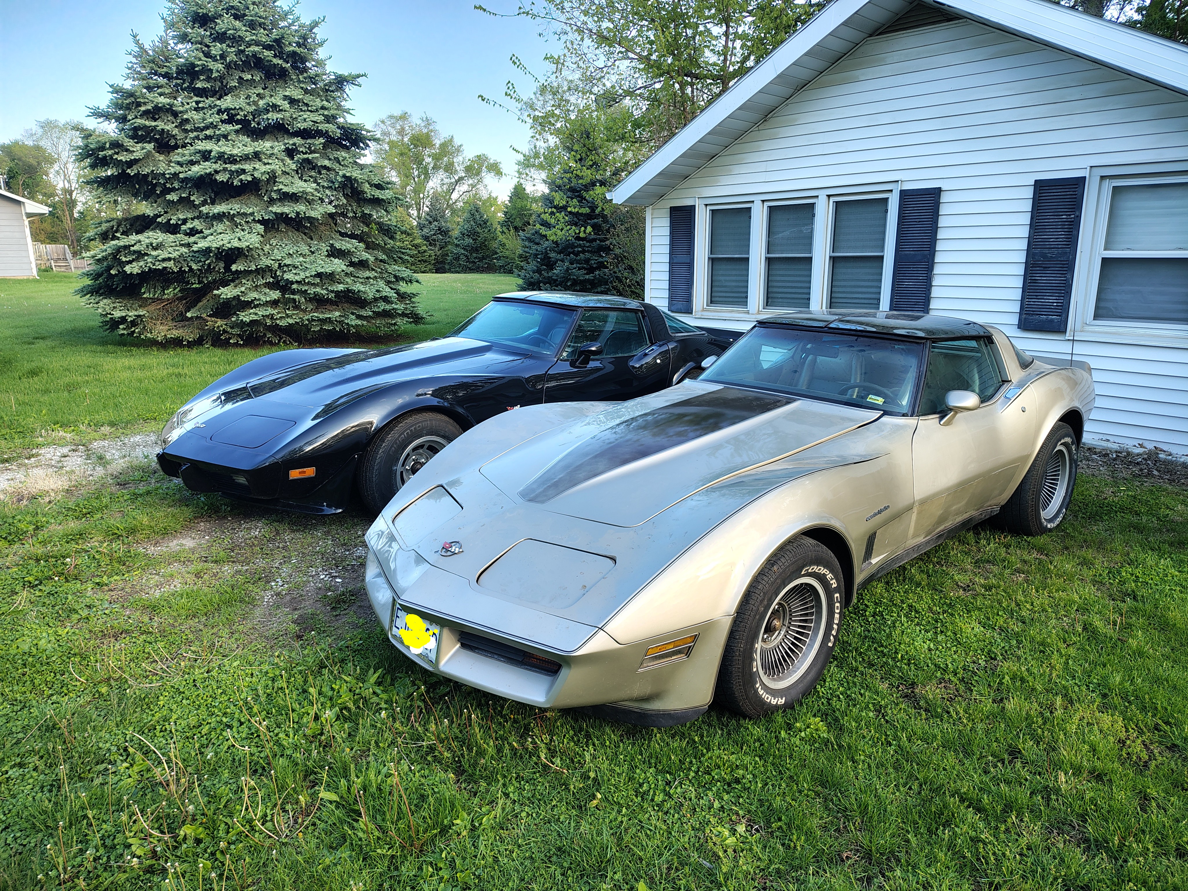 1982 Corvette Collector Edition  – Image 2