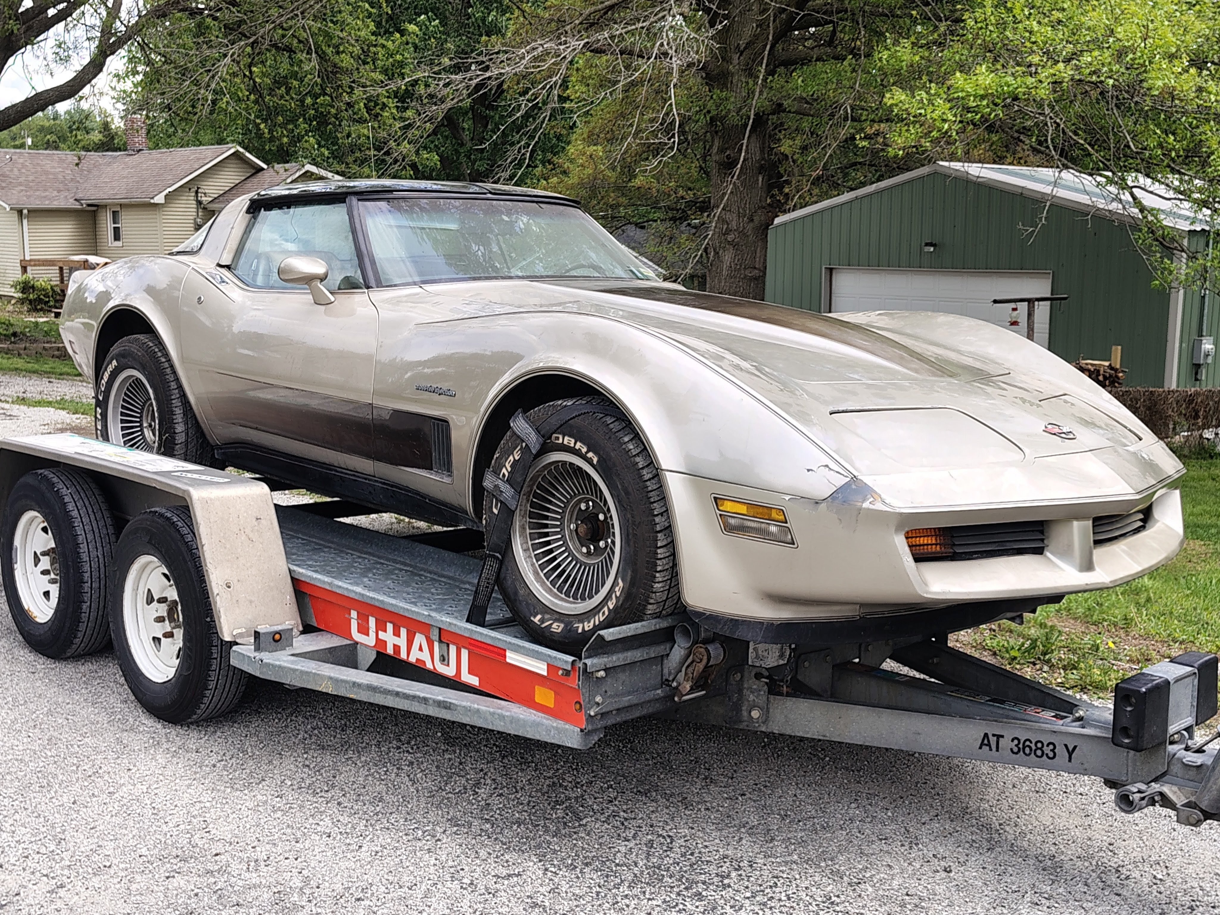 1982 Corvette Collector Edition  – Image 3