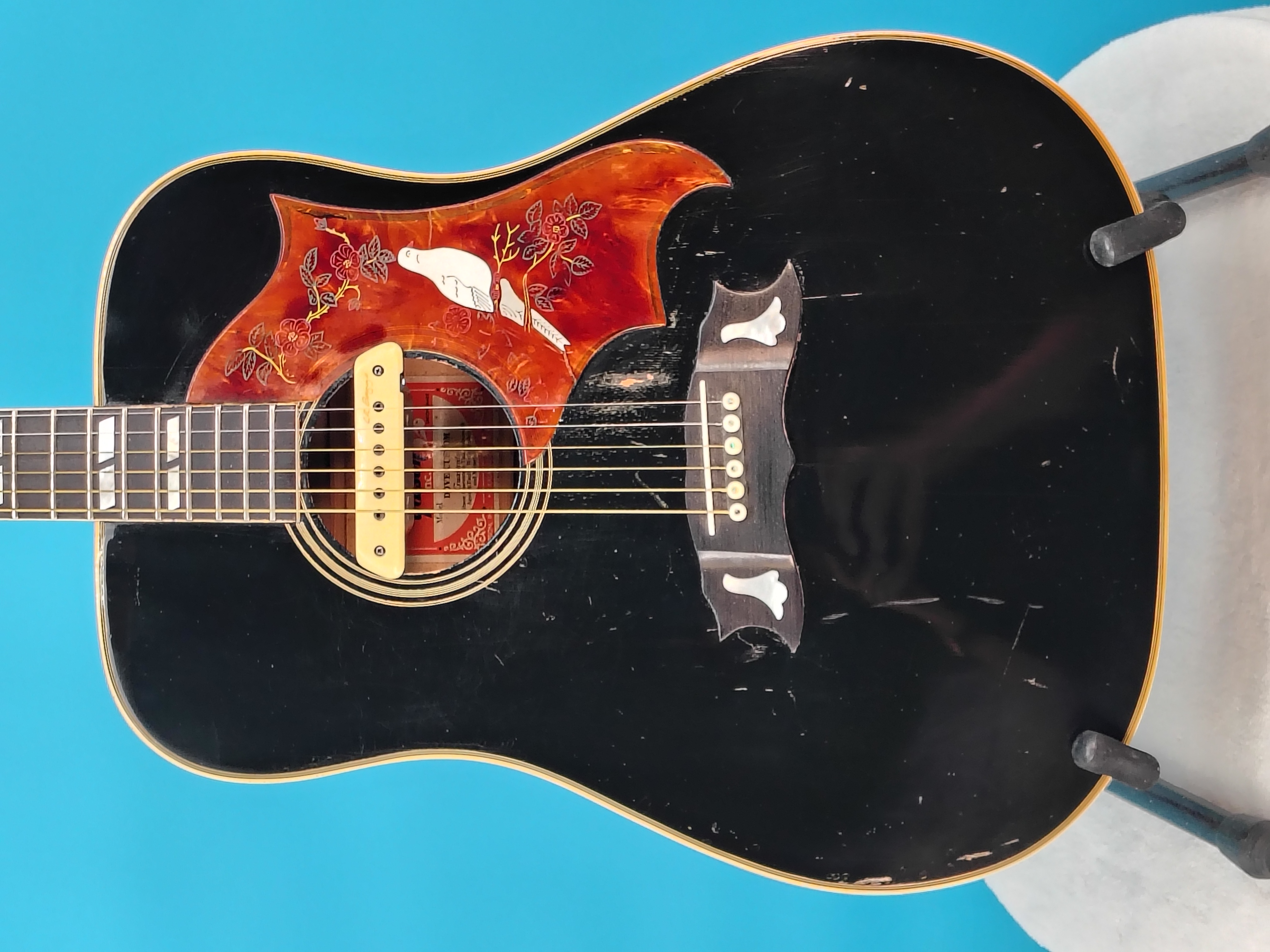 Gibson Dove Custom Acoustic Ebony (RARE) 1970's – Image 2
