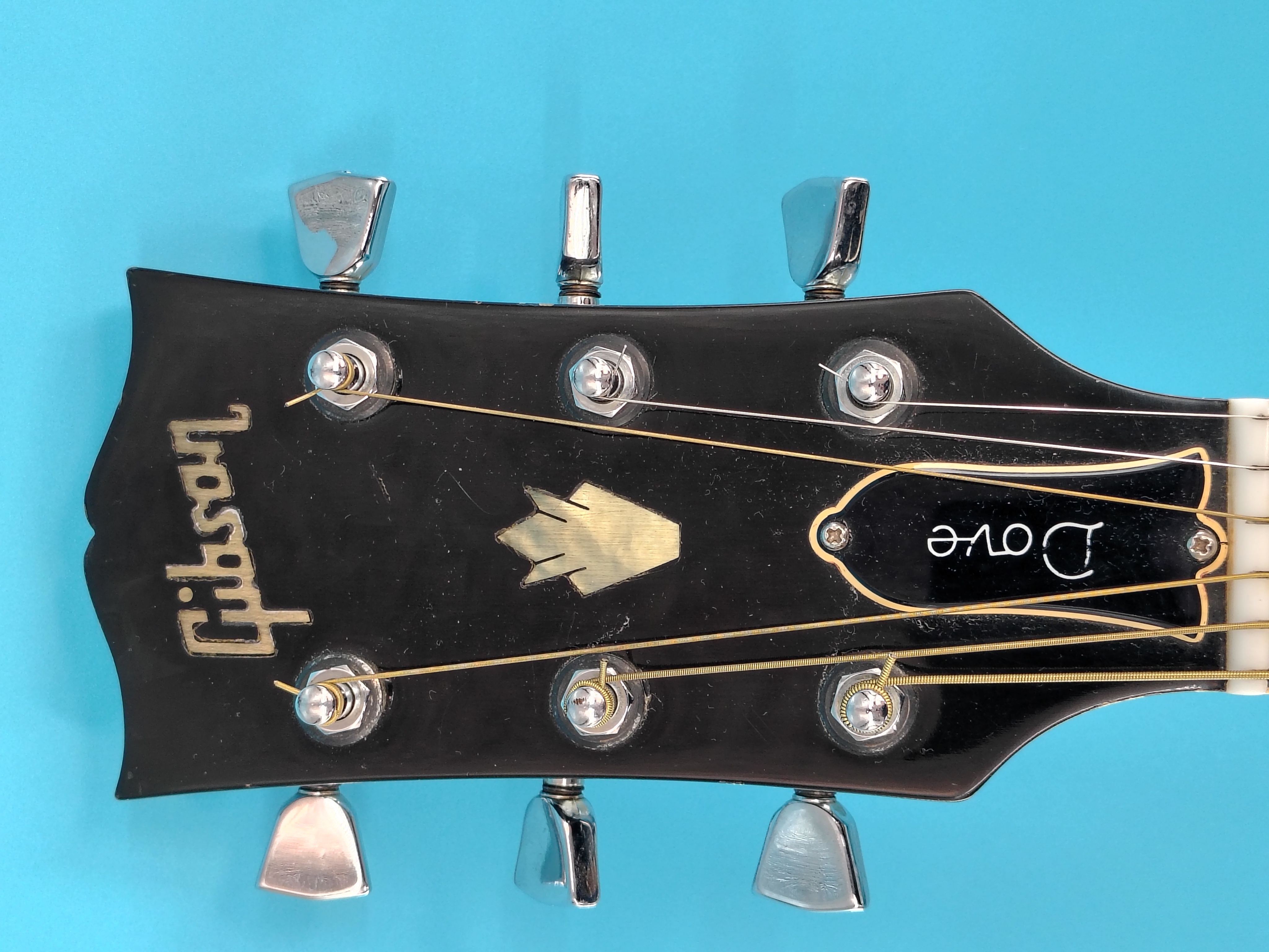 Gibson Dove Custom Acoustic Ebony (RARE) 1970's – Image 3