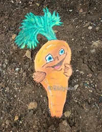 Carrot – Image 1