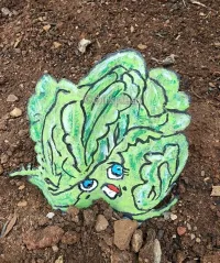 Lettuce – Image 1
