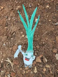 Grass Onion – Image 1