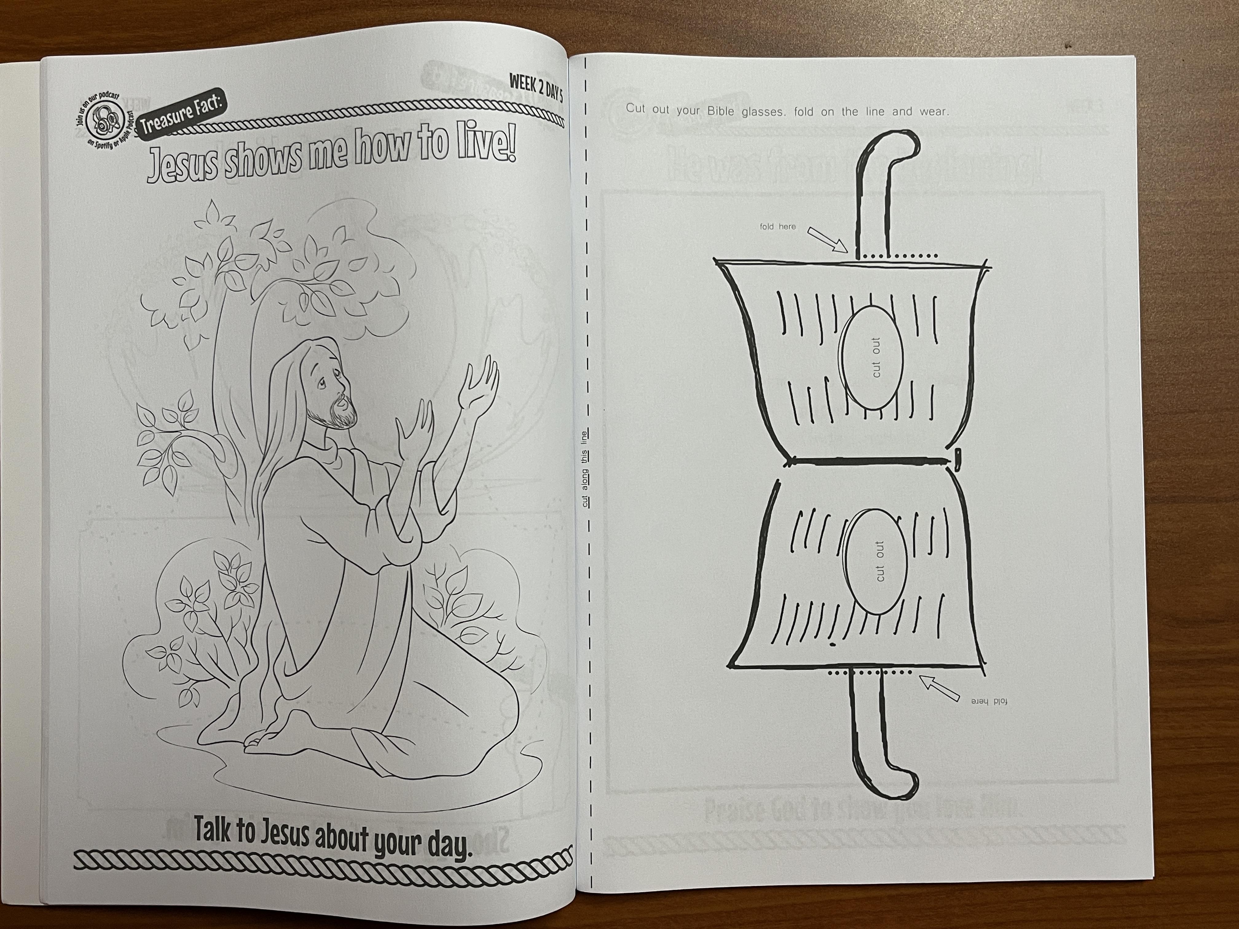 The Secret is out Curriculum! Lesson Range for 4-13 Years – Image 12