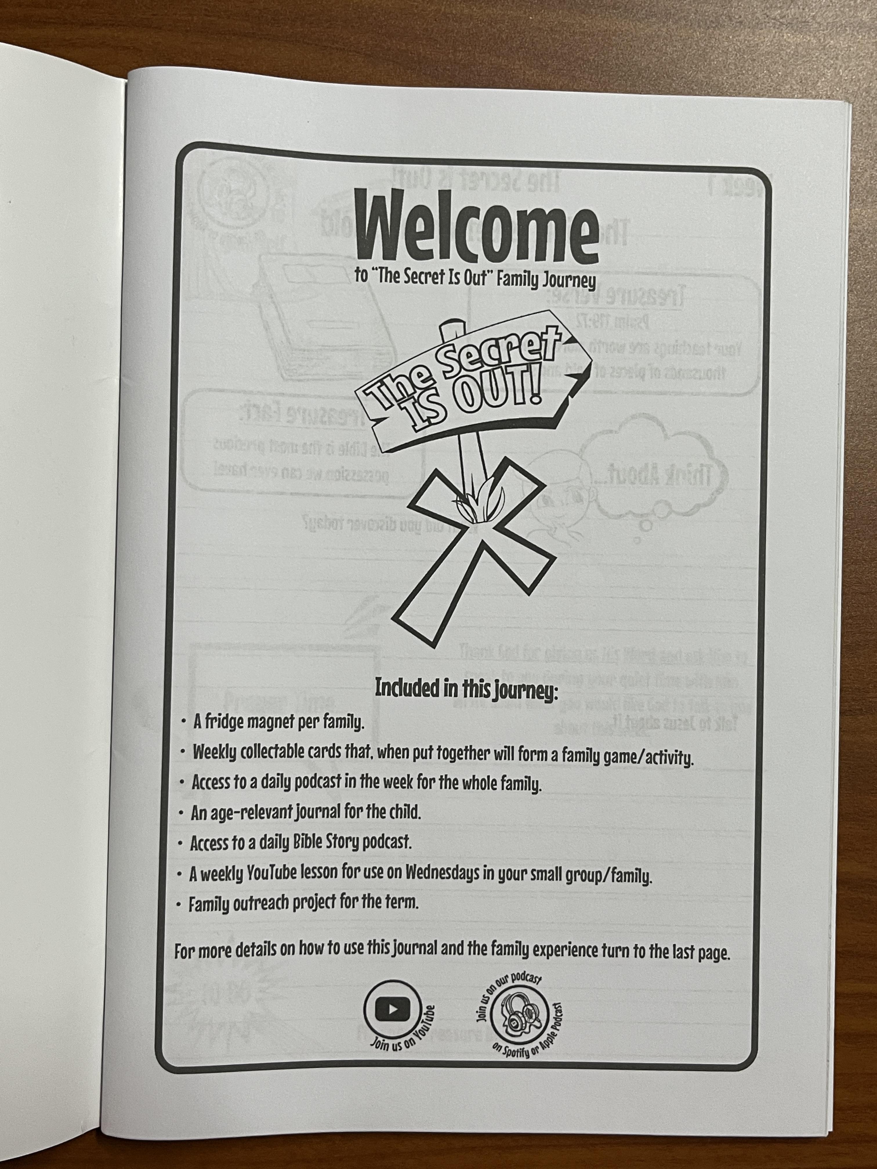 The Secret is out Curriculum! Lesson Range for 4-13 Years – Image 14